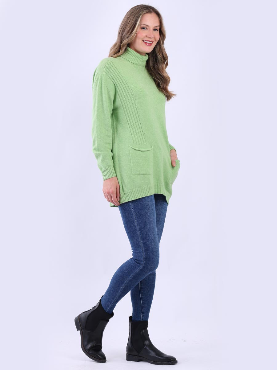 Turtle Neck Knitted Rib Plain Jumper